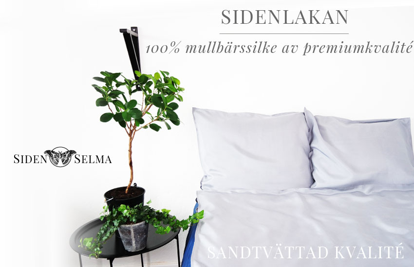 sidenlakan mullbärssilke